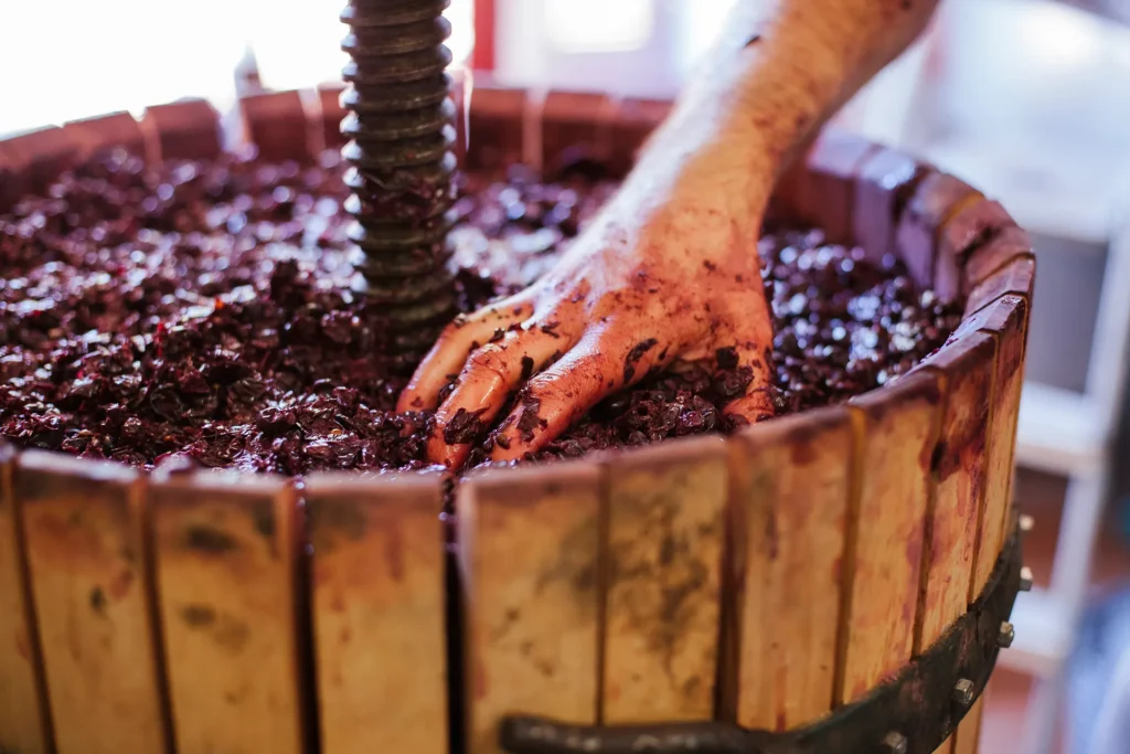 Wine production process