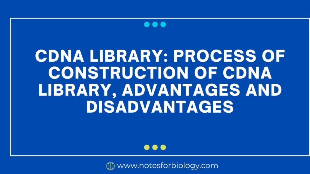 cDNA library Process of construction of cDNA library, Advantages and Disadvantages