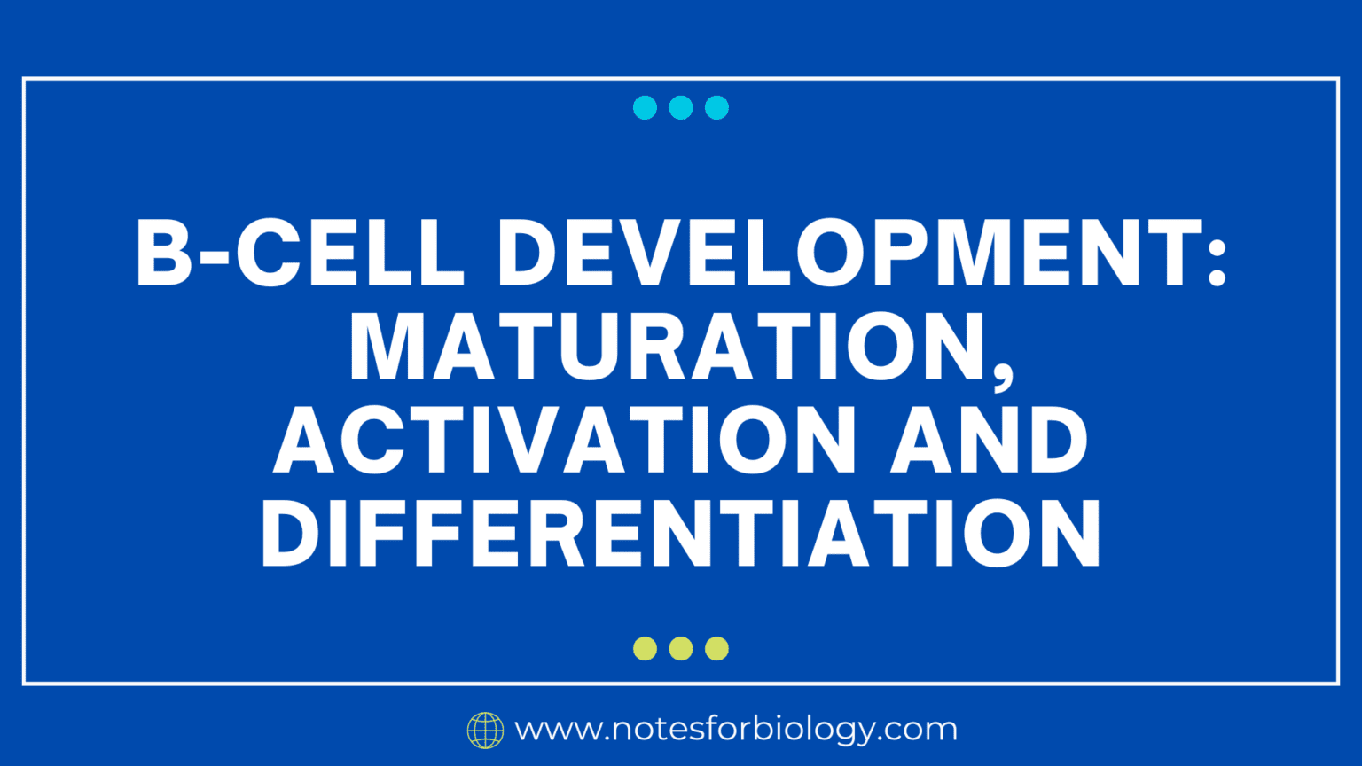 B-cell Development: Maturation, Activation And...