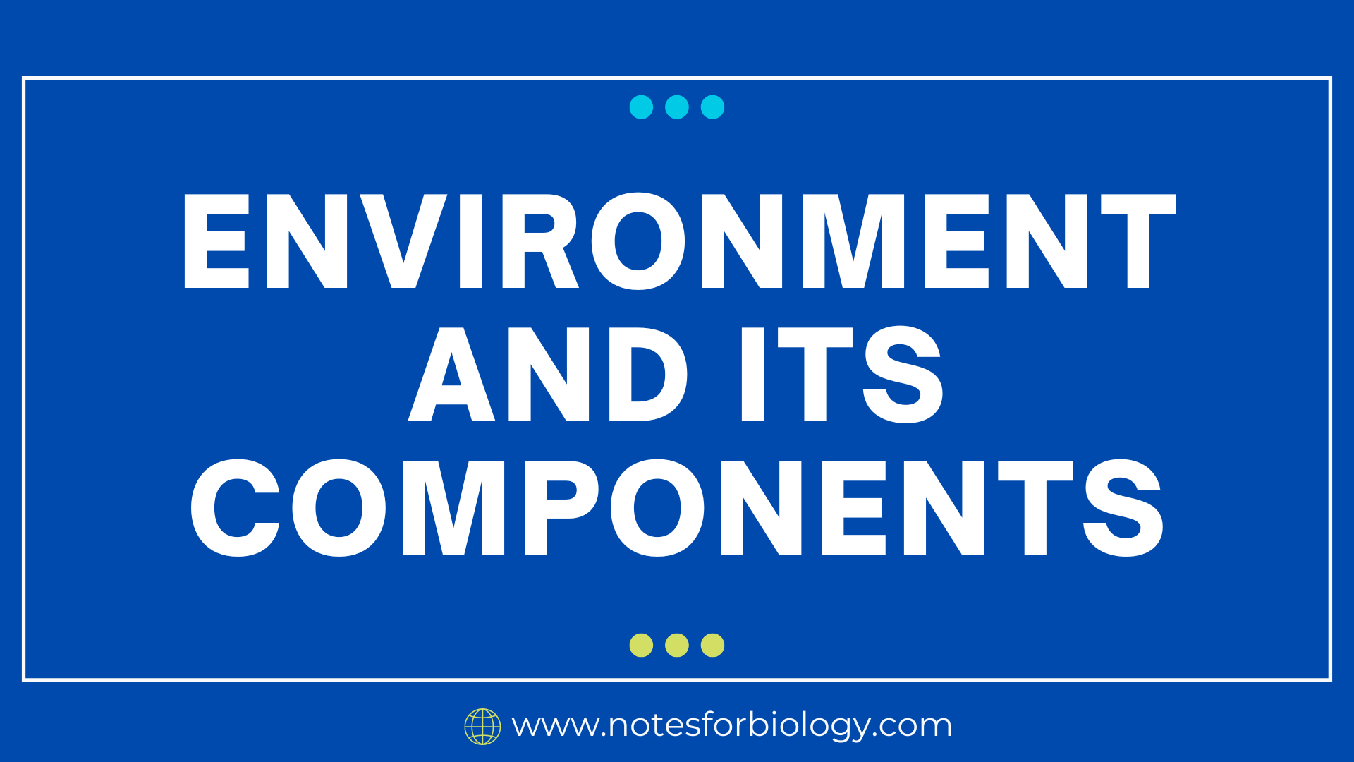 Environment And Its Components