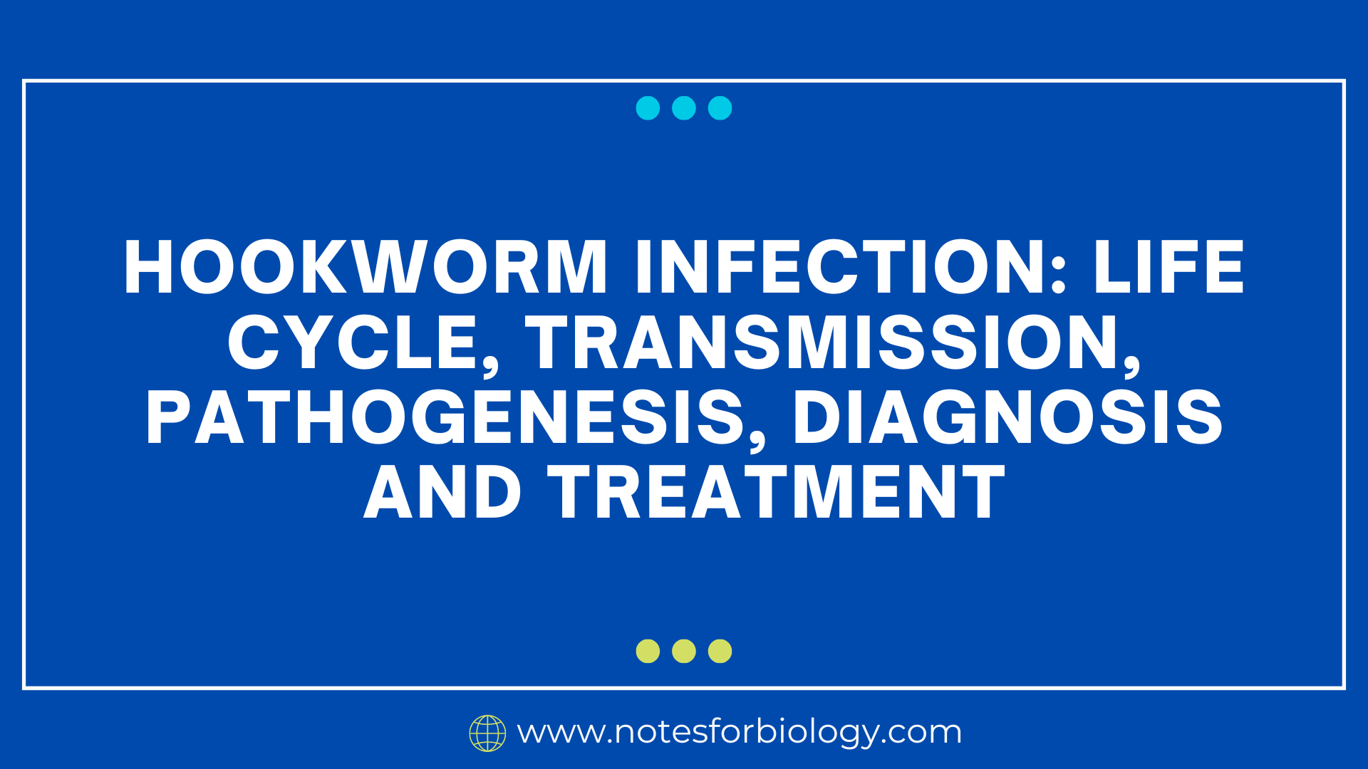 Hookworm infection: life cycle, transmission