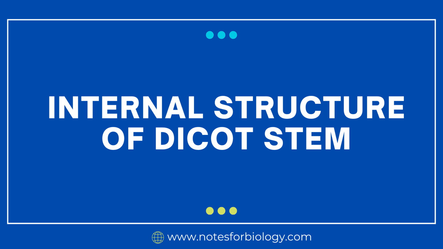 Dicot Stem of Internal structure