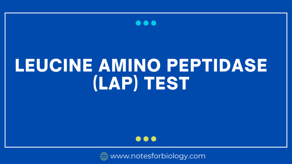 Leucine Amino Peptidase (LAP) test