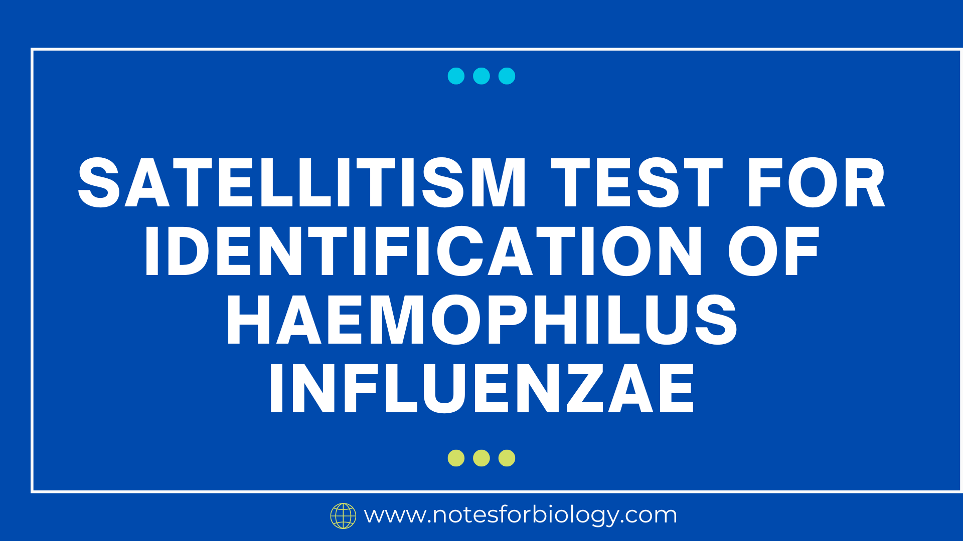 Haemophilus influenzae-Satellitism test for identification