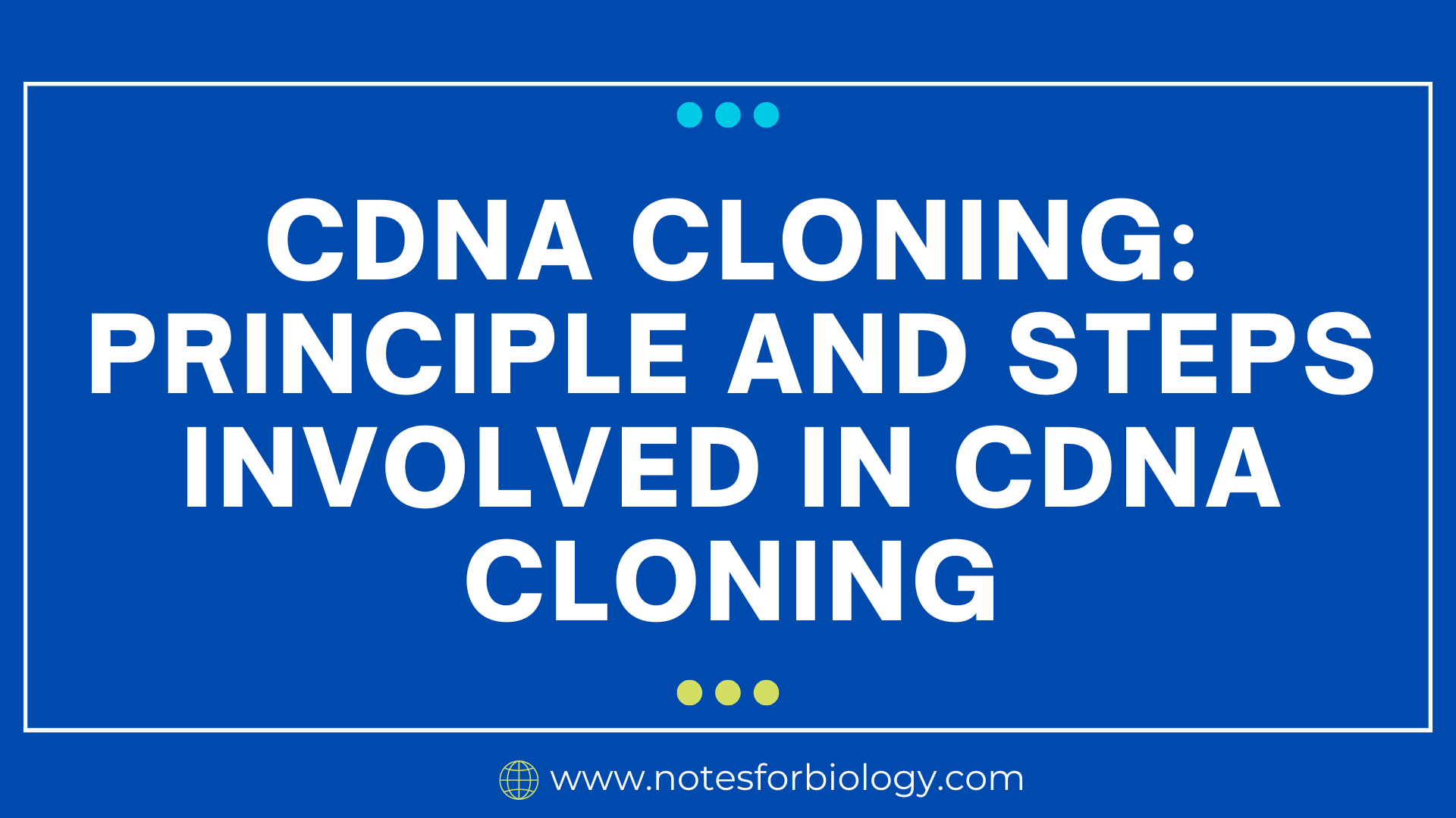 cDNA cloning: Principle and steps involved in cDNA cloning