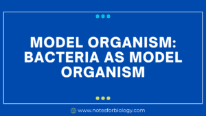 Bacteria as model organism - Best Biology...