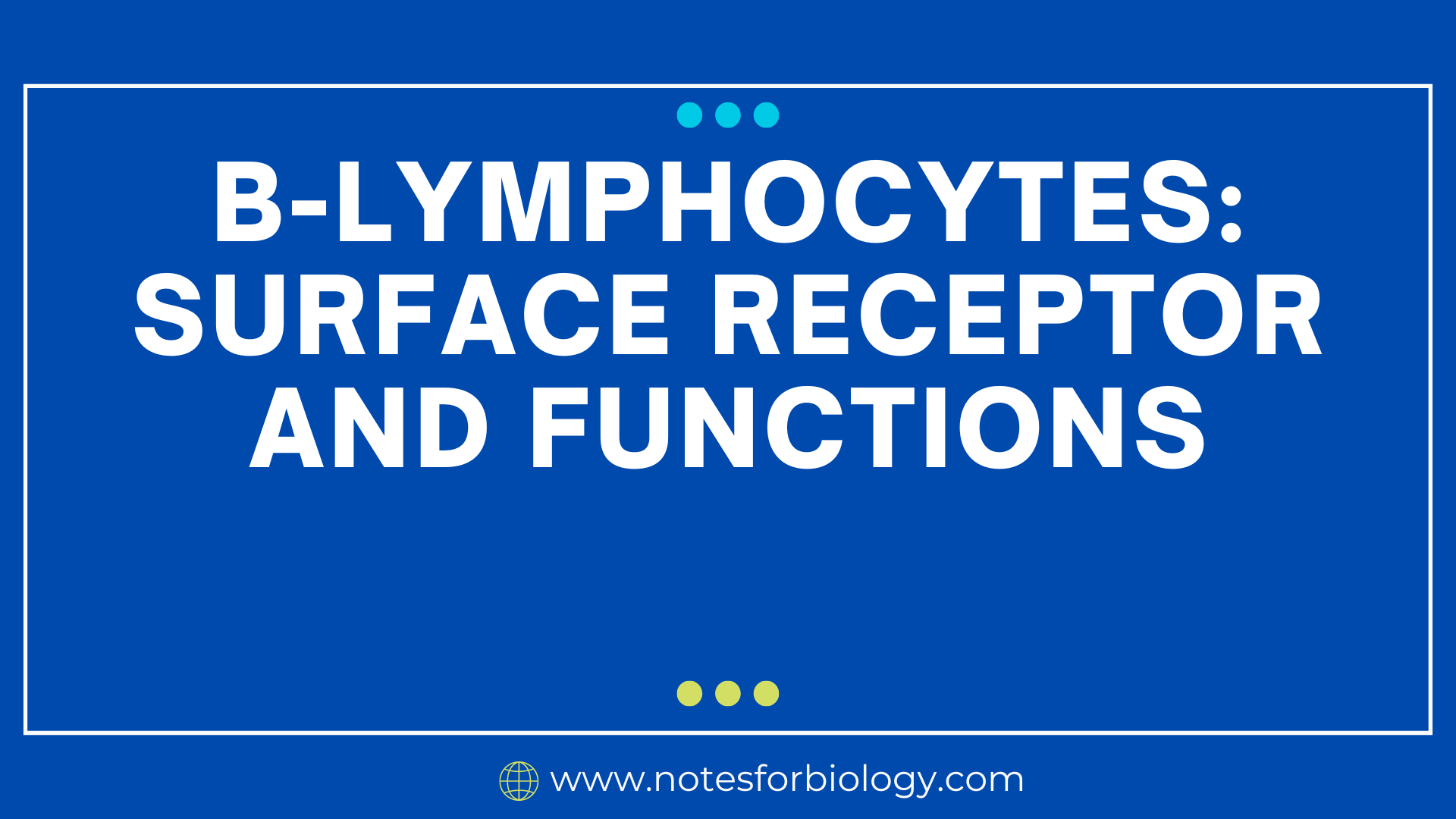 Blymphocytes surface receptor and functions Best...