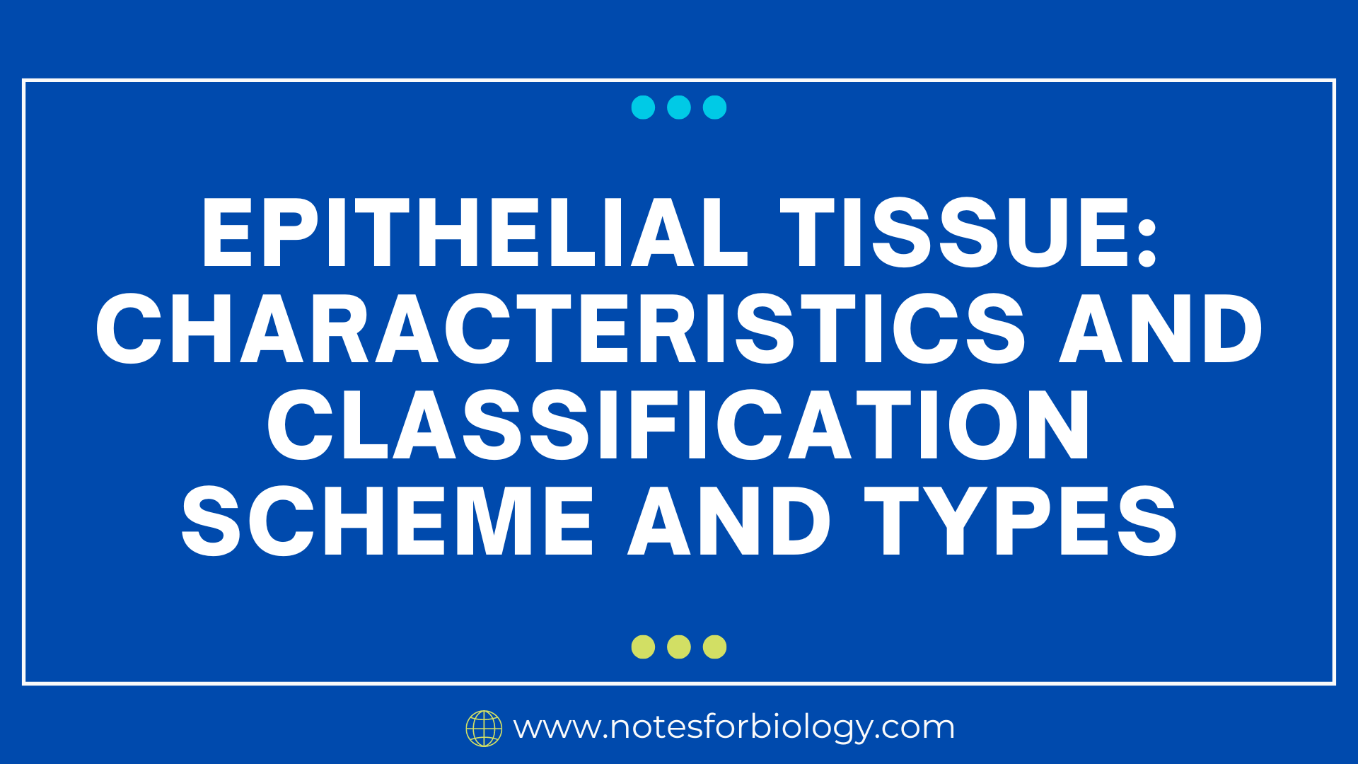 Epithelial tissue: characteristics and classification...