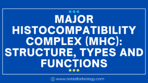 Major histocompatibility complex (MHC): structure, types...