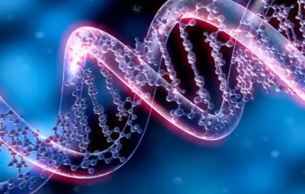 dna methylation in bacteria