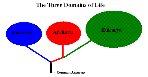 3_domains