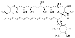 Amphotericin B