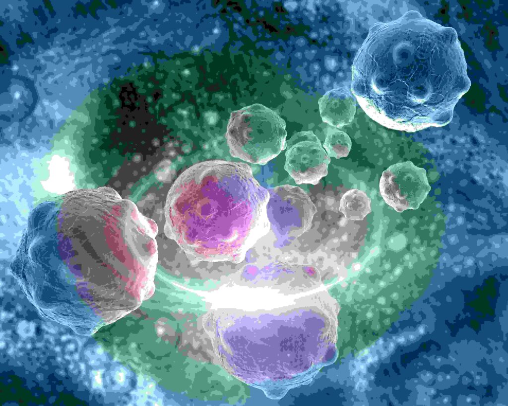 Cancer Cells