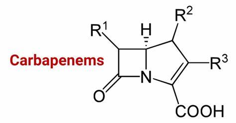 Carbapenems