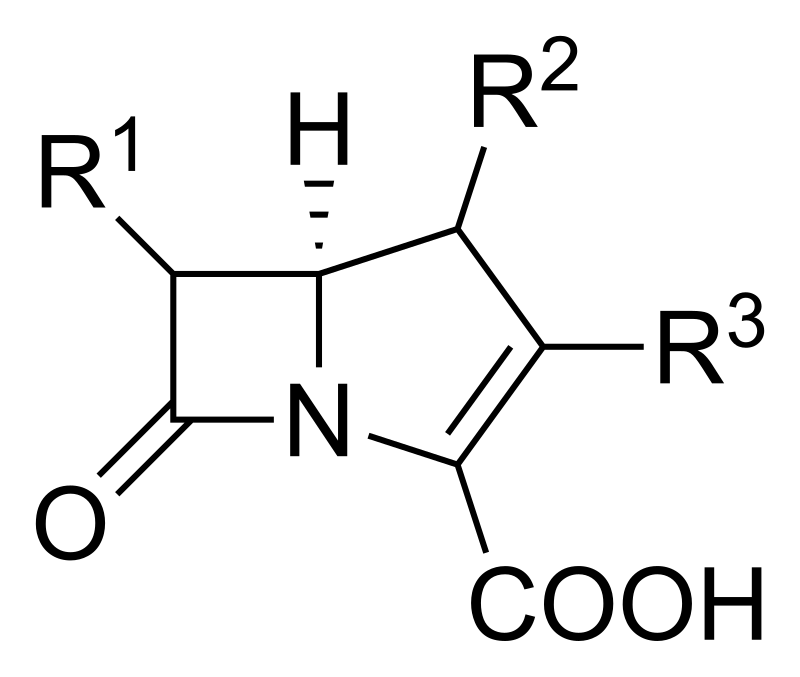 Carbapenems