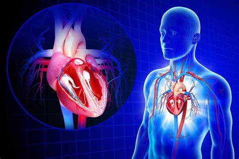Cardiac Conduction