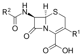 Cephalosporins