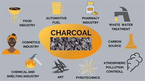 Charcoal Selective Medium