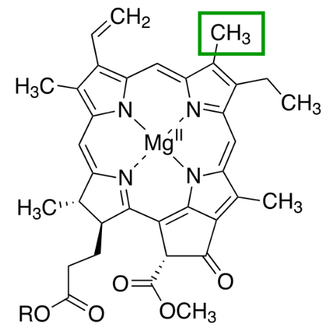Chlorophyll a