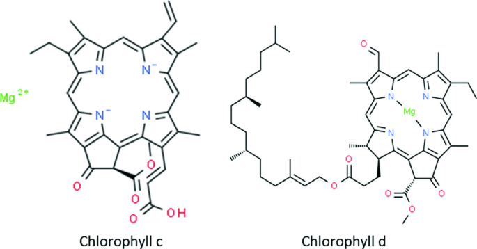 Chlorophyll c, d
