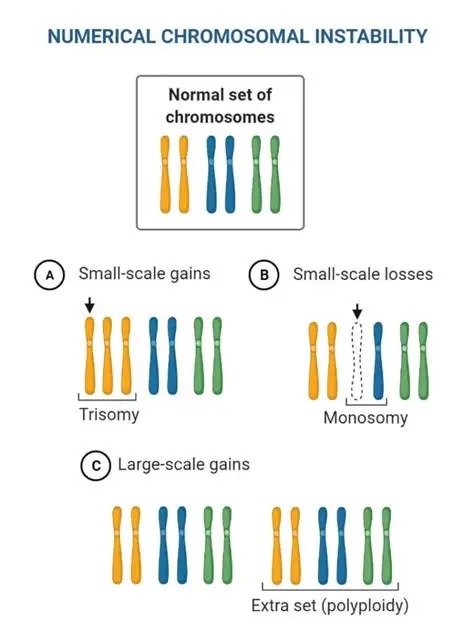 Chromosomal Mutation