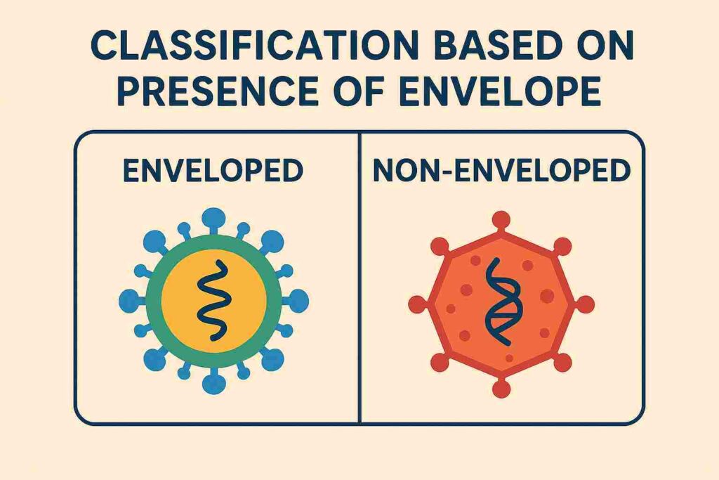 Classification Based on Presence of Envelope