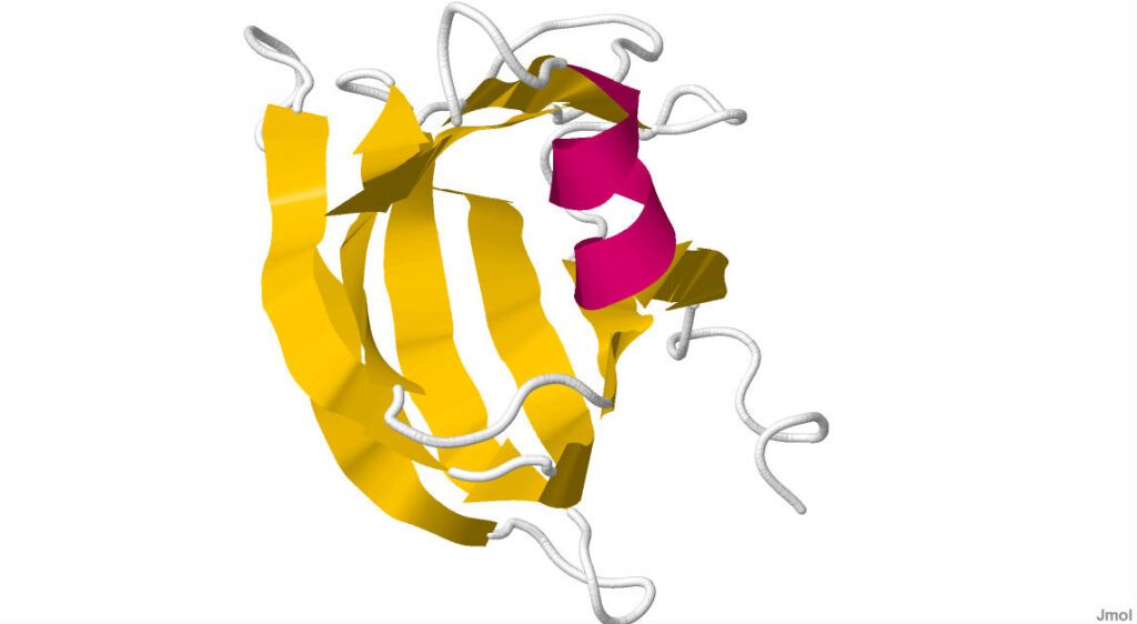 Clostridium perfringens Enterotoxins