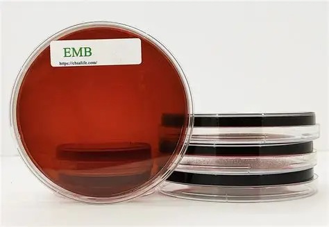 EMB Agar
