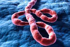 Ebola