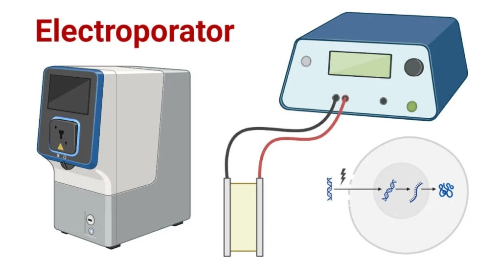 Electroporator