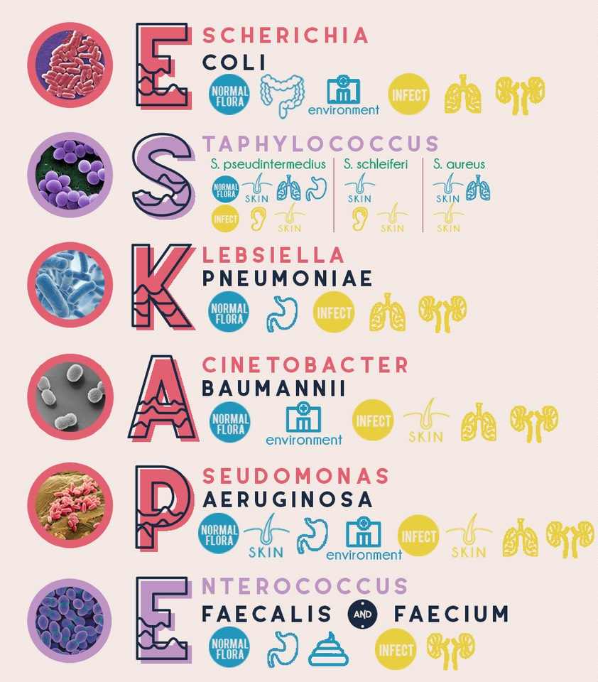ESKAPE Pathogens