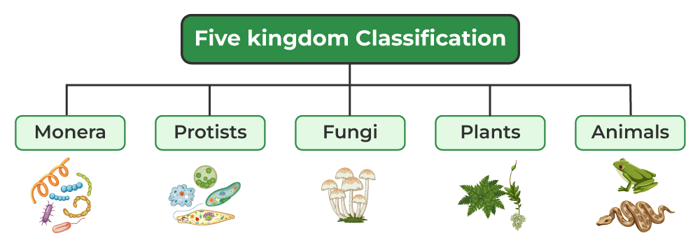 Five-Kingdom-Classification