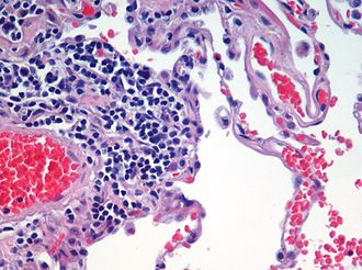 Histology