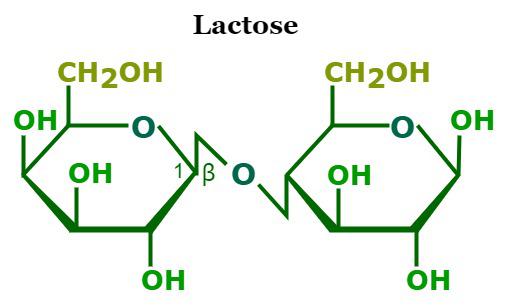 Lactose