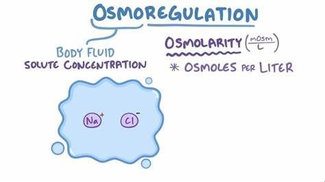 Osmoregulation