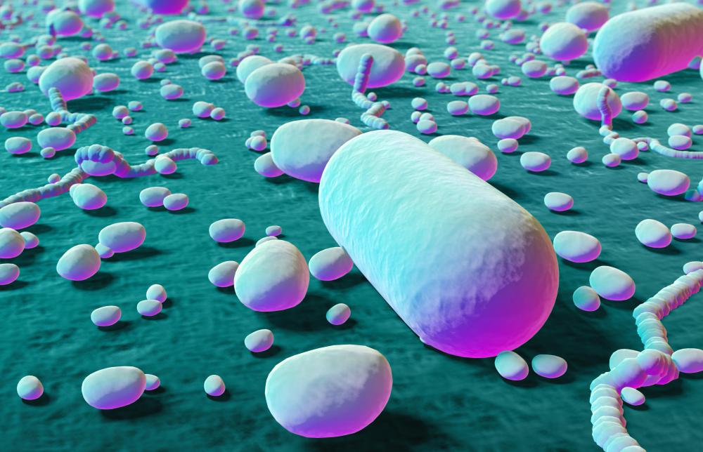 Pathogenic Bacteria