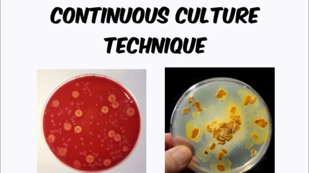 Continuous Culture
