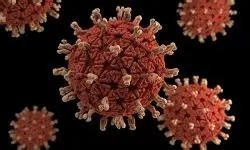 Coltivirus