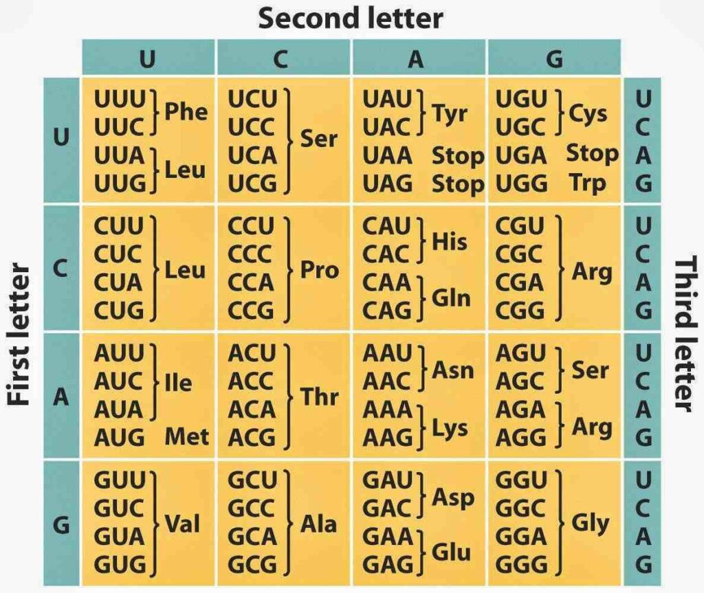 The Genetic Code