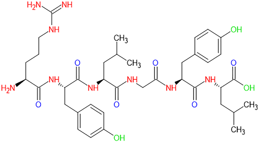 The-chemical-structure-of-casein-protein