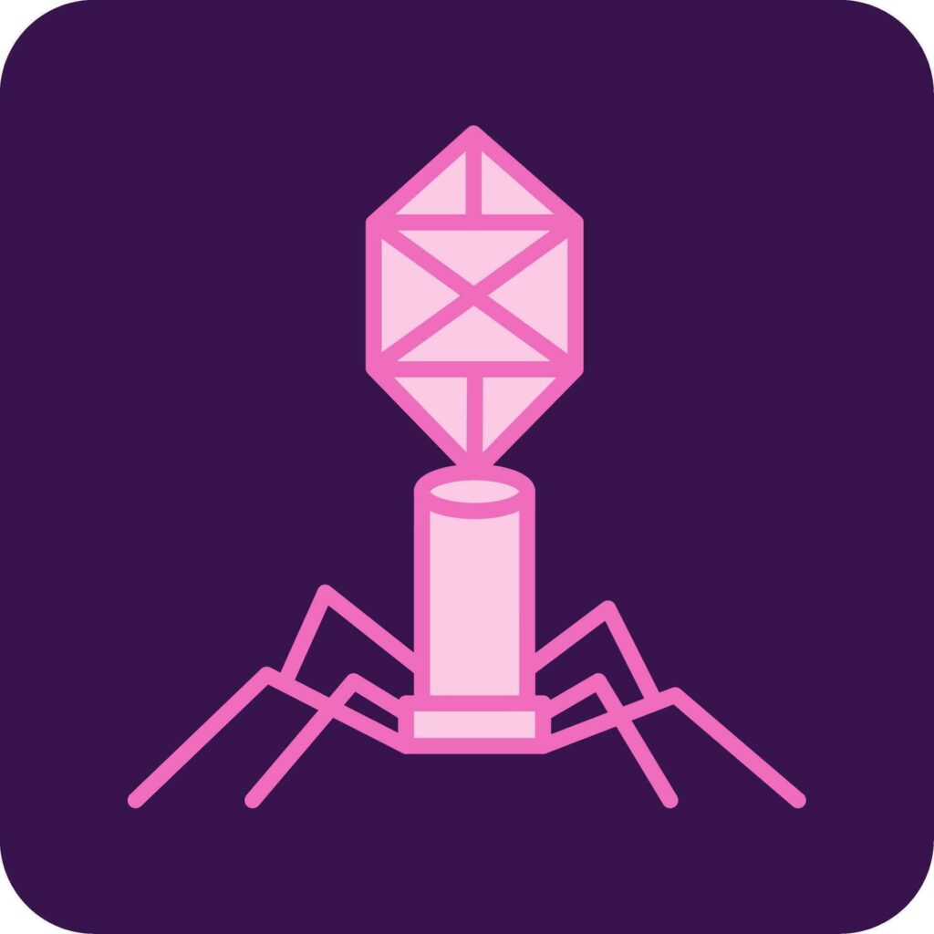 Cloning Vector