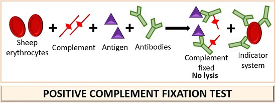 positive-complement-fixation-test