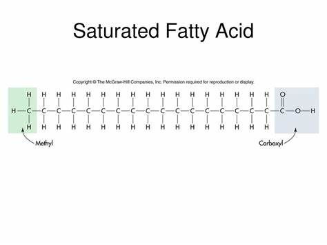 Fatty Acids